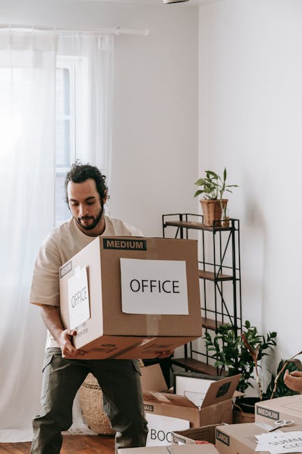 A man with a beard and curly hair, wearing a light-colored t-shirt, is inside a bright room with white walls and sheer curtains, carrying a medium-sized cardboard box labeled 'OFFICE'. Several other packed boxes, some marked 'MEDIUM' or 'BOC,' are stacked on the floor nearby. The room features a black metal shelving unit holding a potted plant, and natural light filters through a window. The scene depicts a home relocation or office moving process, with the man engaged in packing and preparing furniture and items for transport. Man and Van Bounds Green’s removals service is evident in the organized packing environment, highlighting steps in furniture transport and logistics typical of professional removal services.